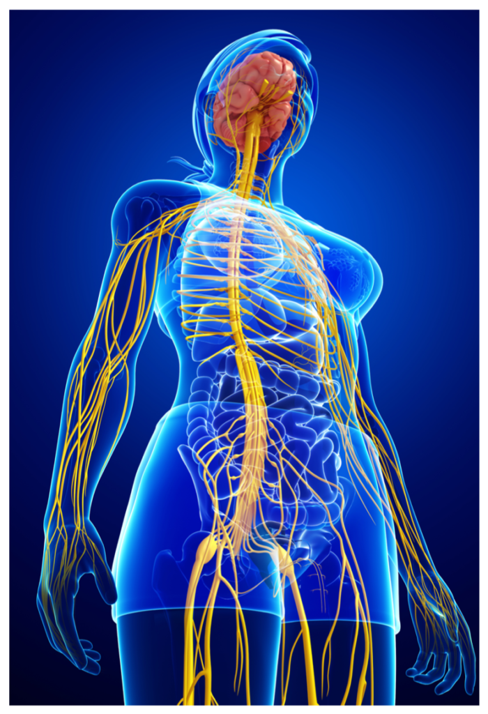 working with pain in labour